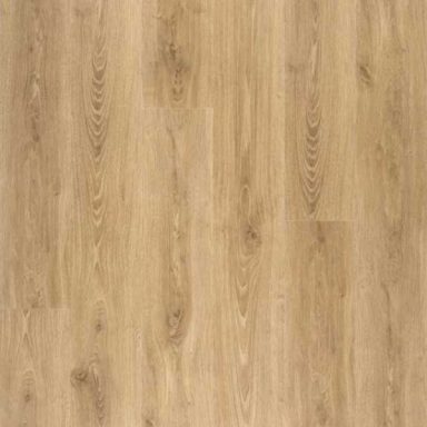 basic LCF281